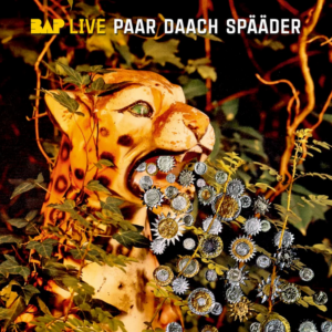 CD Paar Daach spääder